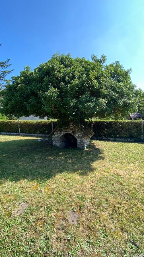 Villa La nébuleuse Notre-Dame-de-l'Isle Esterno foto